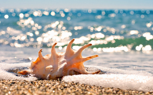 599930 (a): :2560x1600